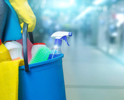 Dirección, horario, teléfono y opiniones de Limpiezas Especiales Lucedú - Empresa de Limpieza Especial en Seco a Domicilio en Barcelona